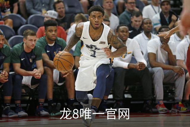 龙8唯一官网 公司简介